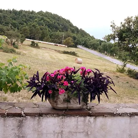 Persichitti *