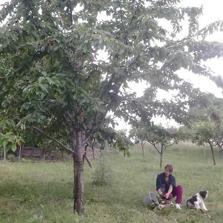 Persichitti * Torricella Peligna