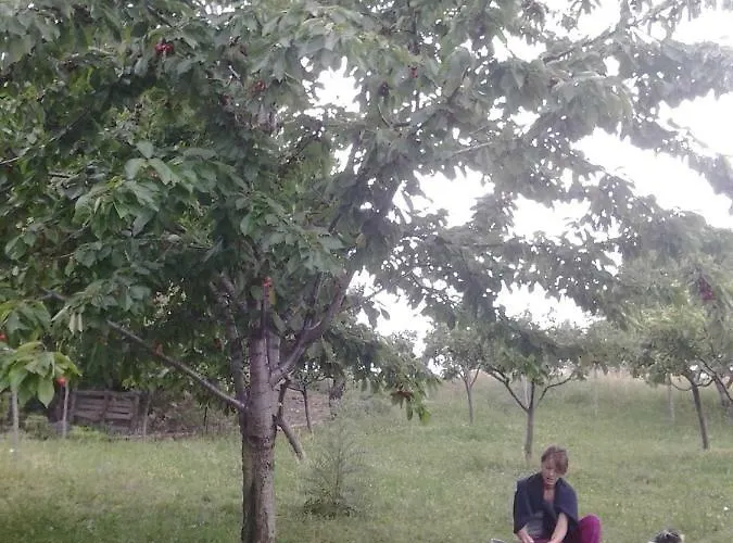 Persichitti * Torricella Peligna