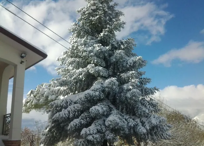 Persichitti Bauernhof